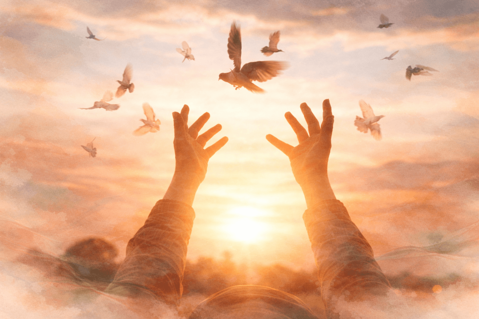 Spiritual study and teaching setting